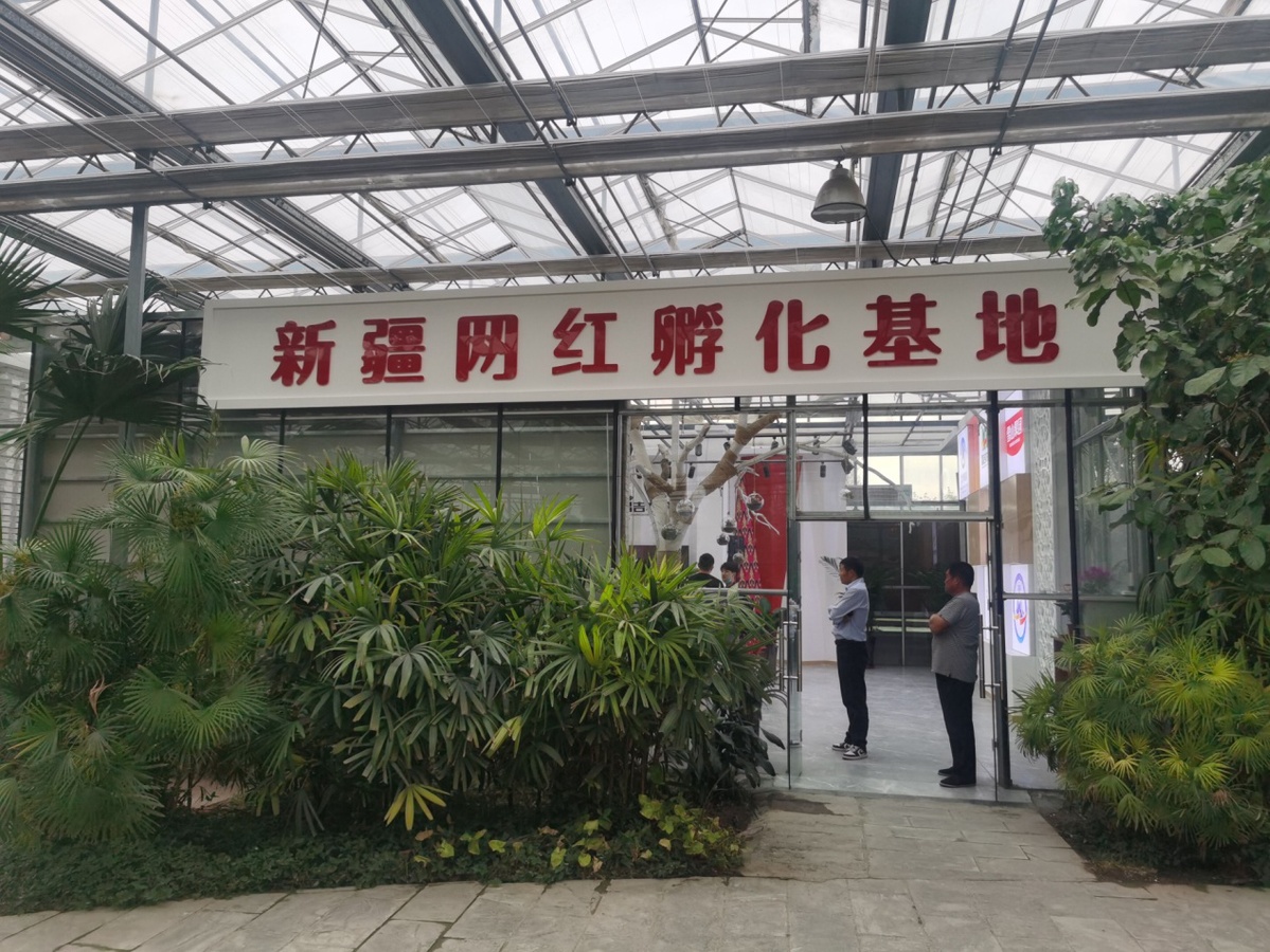 新疆农业博览园